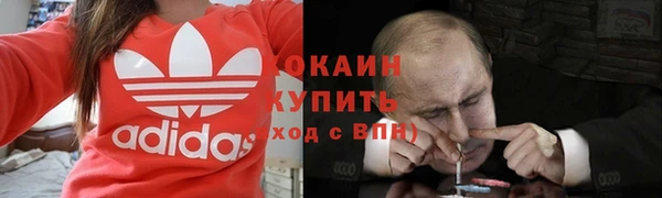 прущие грибы Алексеевка