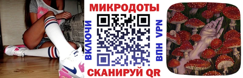 ОМГ ОМГ маркетплейс  цена   Слюдянка  Галлюциногенные грибы Psilocybe 